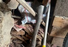 Источник: подозреваемая в убийстве детей в Красноярском крае признала вину