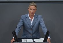 Лидер АдГ Вайдель призвала к возобновлению работы АЭС в ФРГ