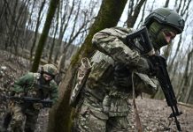 «В Купянском районе в лесном массиве»: бойцы группировки «Запад» уничтожили две группы иностранных наёмников