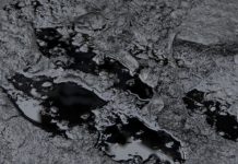 В «Турпомощи» заявили, что жалоб из-за выброса нефти на пляж в ОАЭ не поступало