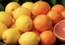 Врач Кашух назвала продукты, которые являются «витаминной бомбой»