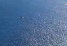 Черноморский флот ночью уничтожил 14 безэкипажных катеров ВСУ