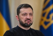 Рогов — о словах Зеленского про Крым: поведение глупого человека