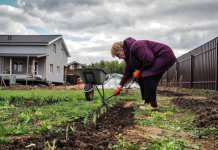 Россиянам напомнили о режиме тишины на дачах