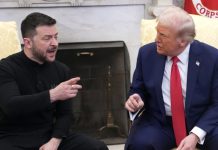 «Всё, что исходит из его уст, создаёт проблемы»: Трамп раскритиковал риторику Зеленского