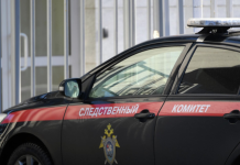 СК: подрывы мостов в Брянской и Курской областях квалифицированы как теракт