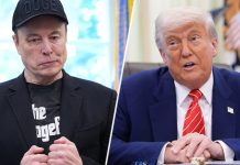 Театр с компроматом и финансовыми потерями: из-за чего рассорились Трамп и Маск