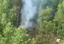 «Спасатели следуют к месту происшествия»: в Амурской области потерпел крушение самолёт Ан-24