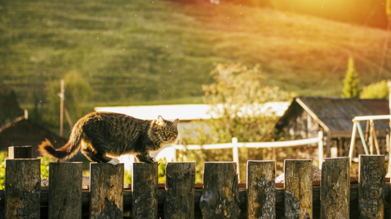 В Госдуме призвали развивать сёла ради повышения рождаемости