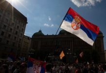 Боцан-Харченко: поддержавший санкции политик не удержался бы во главе Сербии