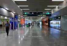 Виза в Китай: Путешествие в Поднебесную без Затруднений