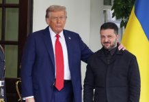 Дмитрук: Зеленский пытается понравиться Трампу, чтобы отсрочить крах