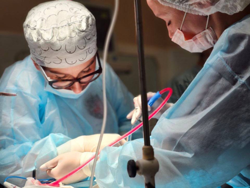 «Это перевернуло во мне всё»: студентка-стоматолог вместо летних каникул отправилась помогать в прифронтовой госпиталь