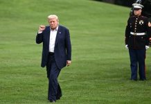 Филиппо: Трамп разрушил план Евросоюза по Украине перед встречей с Путиным