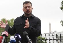 Филиппо: Зеленский получил инструкции перед встречей в Белом доме