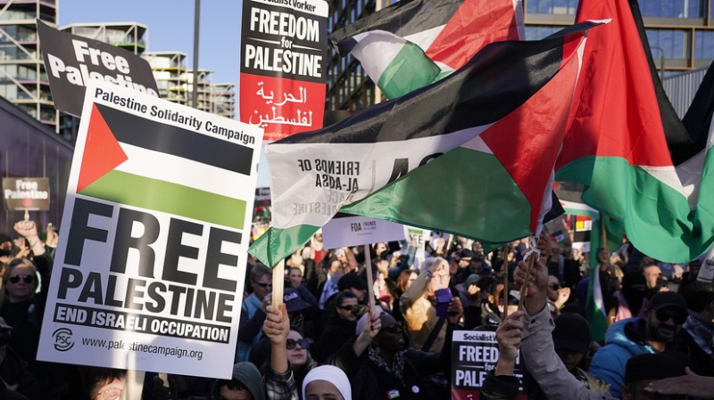 Guardian: половина задержанных на пропалестинской акции в Лондоне старше 60 лет