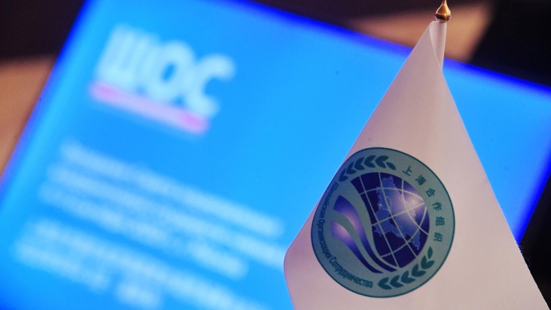 «Качественно новая динамика»: эксперты — о значении саммита ШОС в Китае