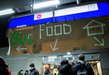 Mysl Polska: украинские беженцы три года обворовывали граждан Польши