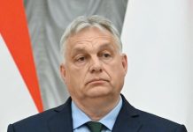 Орбан заявил о последствиях за угрозы в адрес Венгрии со стороны Зеленского