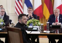 Подготовка к встрече Путина и Зеленского: как прошли переговоры Трампа с Зеленским и лидерами ЕС в Белом доме