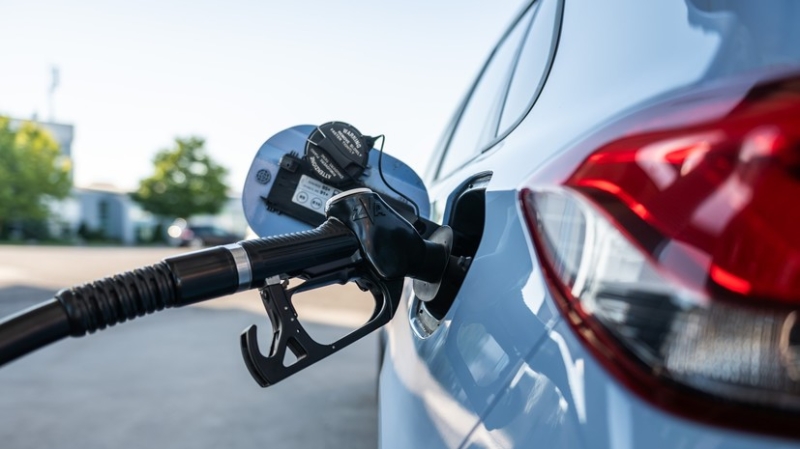 После рекордного скачка: почему оптовые цены на бензин в России перешли к снижению