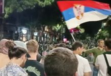 Посол Боцан-Харченко: протесты в Сербии развиваются по сценарию цветных революций