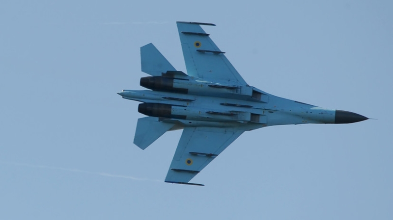 Рогов: на Запорожском участке фронта сбит истребитель ВСУ