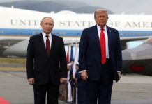 Рогов заявил, что саммит на Аляске загнал Зеленского в угол