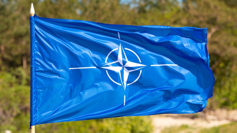 Сальдо: стремление Киева в НАТО — замысел тех, кто делает из Украины «анти-Россию»