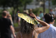 Синоптик Позднякова спрогнозировала тёплые выходные в Москве