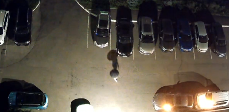 «Соседи едва успевали отгонять машины»: как в Новокузнецке владелец детективного бюро организовал серию поджогов