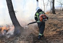 В Бурятии потушили все лесные пожары