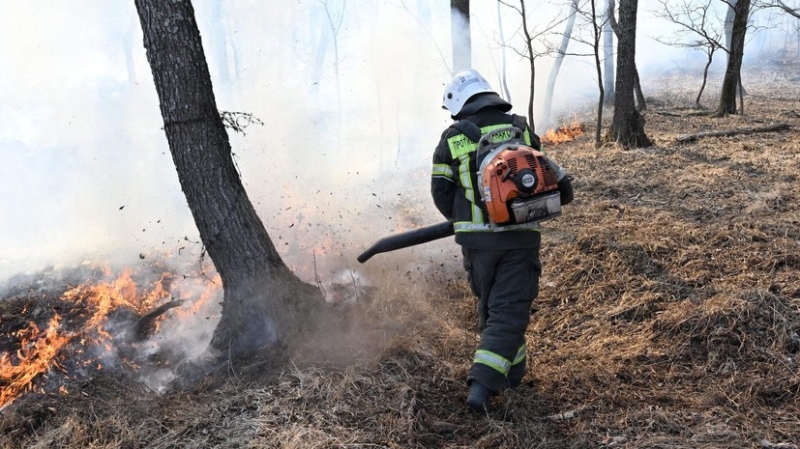 В Бурятии потушили все лесные пожары