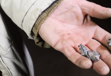 В Краснодарском крае нашли ещё несколько мест падений БПЛА ВСУ