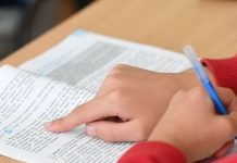 В Общественной палате напомнили, что на уроках запрещено использовать мобильные