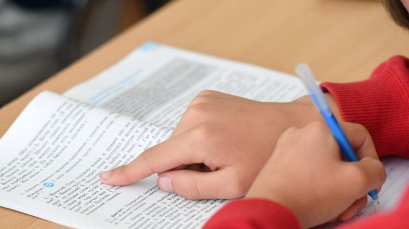 В Общественной палате напомнили, что на уроках запрещено использовать мобильные