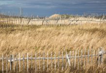 В России с 1 сентября вводятся новые критерии для изъятия бесхозных земель