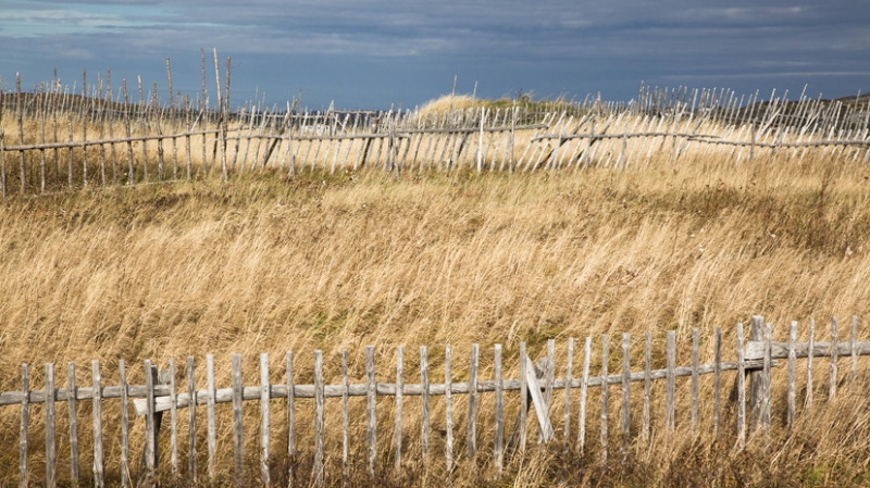 В России с 1 сентября вводятся новые критерии для изъятия бесхозных земель