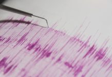 В США понизили магнитуду землетрясения в проливе Дрейка