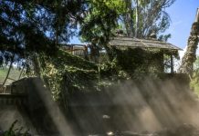 В устье реки Дунай: ВС РФ потопили разведывательный корабль «Симферополь» ВМС Украины