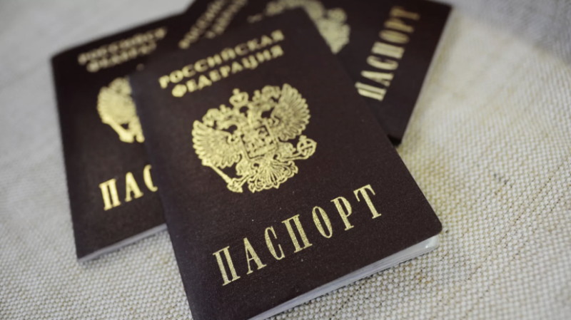 В ОП предложили вписывать внуков в паспорта бабушек и дедушек