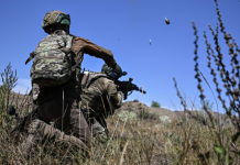 ВС России поразили «Геранями» передовой пункт ВСУ в Черниговской области