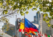 «Запрыгнуть в последний вагон»: как Европа пытается повлиять на украинское урегулирование в преддверии саммита РФ и США