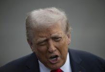 Bloomberg: самолёт Трампа опасно сблизился с пассажирским бортом над Нью-Йорком