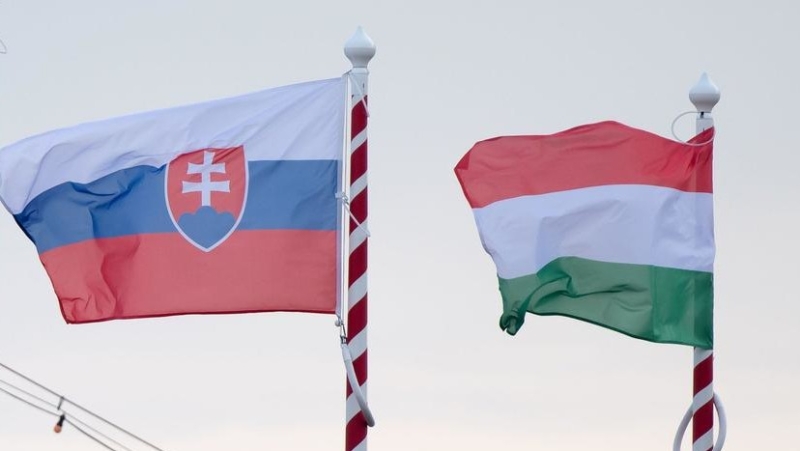 Испытание «Дружбой»: эксперты — о попытках Словакии и Венгрии усидеть на двух стульях в отношениях с Украиной