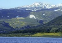 МЧС: к островам Парамушир и Шумшу ожидается подход волны высотой до 0,5 м