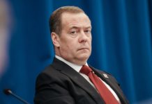 Медведев назвал инициативы коалиции по Украине «чушью собачьей»