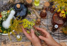 Не «народная медицина»: российские учёные разработали травяной сбор для терапии туберкулёза