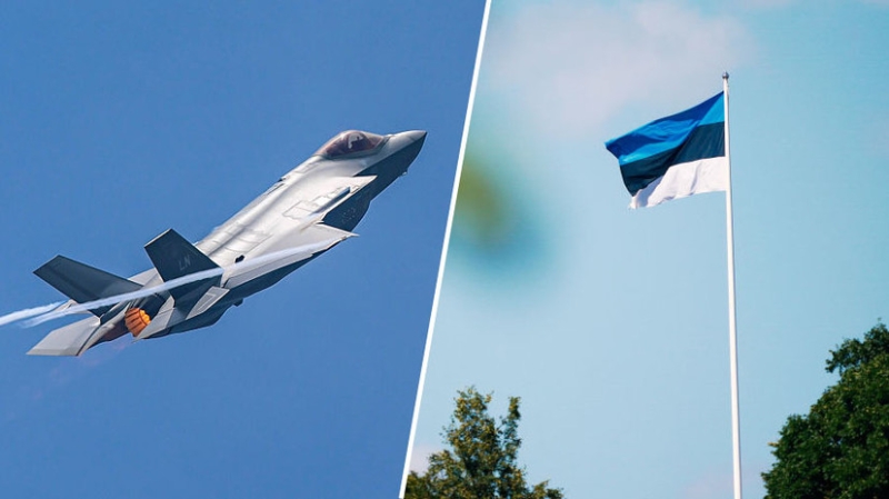 «Переоценивают угрозу своей безопасности»: что стоит за готовностью Эстонии разместить у себя самолёты с ядерным оружием