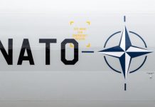 Politico: НАТО оказалось не готово отражать атаки «дешёвых дронов из дерева»